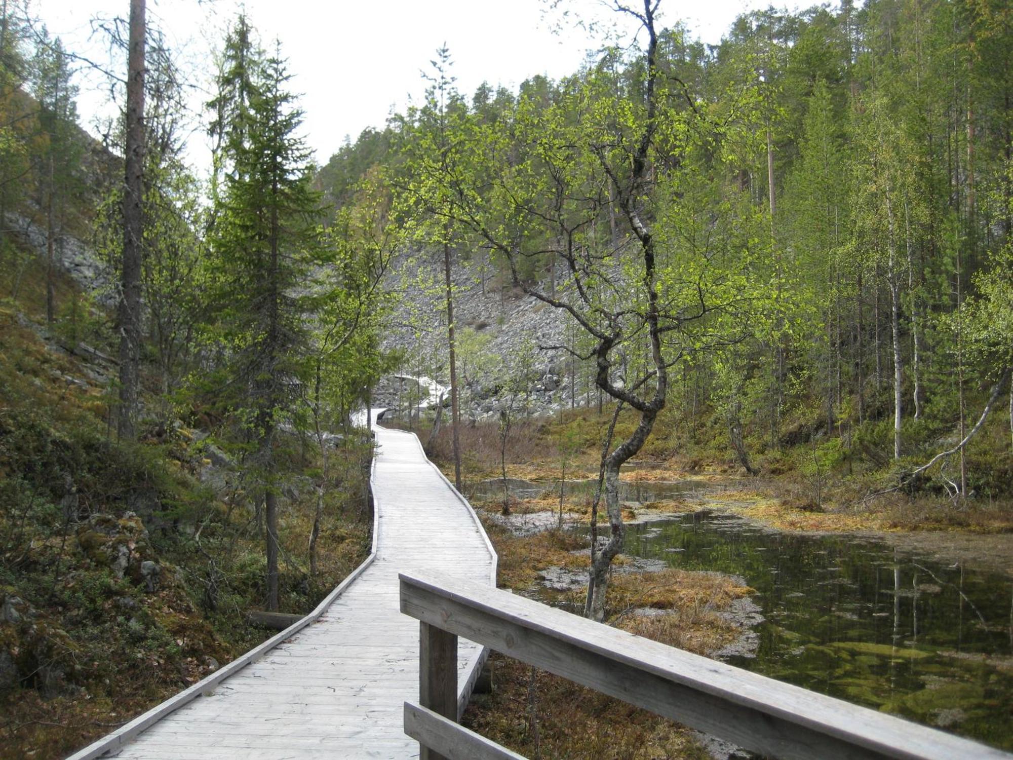 Pyhakirnu Cottage Pyhätunturi Kültér fotó